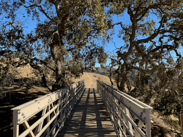 image of footbridge through trees