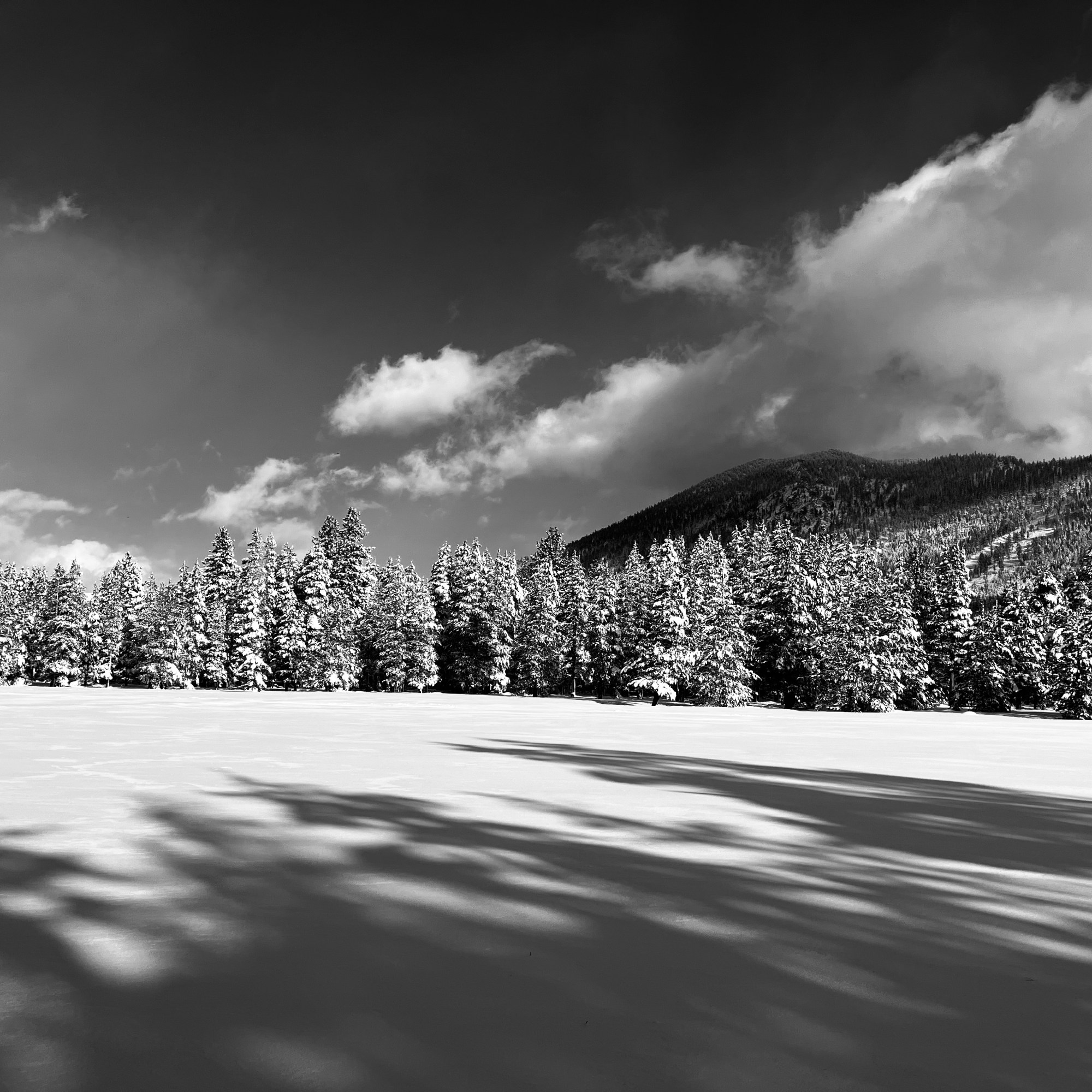 Photo of Bijou Park in winter, South Lake Tahoe. Copyright © 2021 Matthew Sholler.