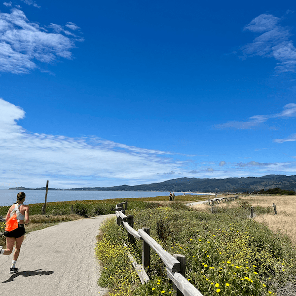 Photo of bluffs over Poplar Beach, Half Moon Bay, California. © Matthew Sholler