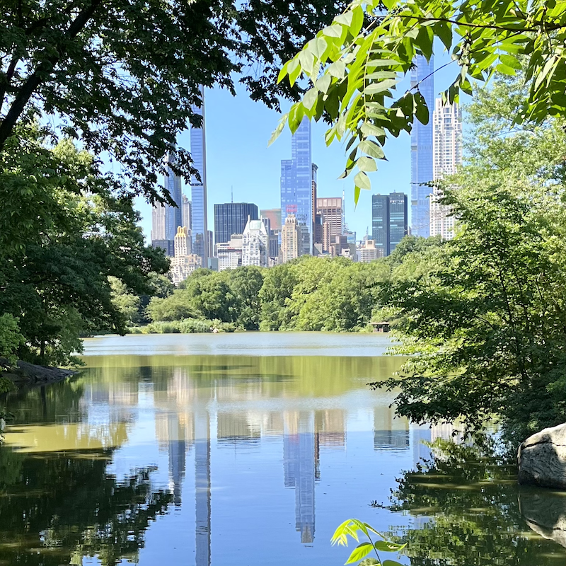 photo of the Ramble in Central Park, New York City