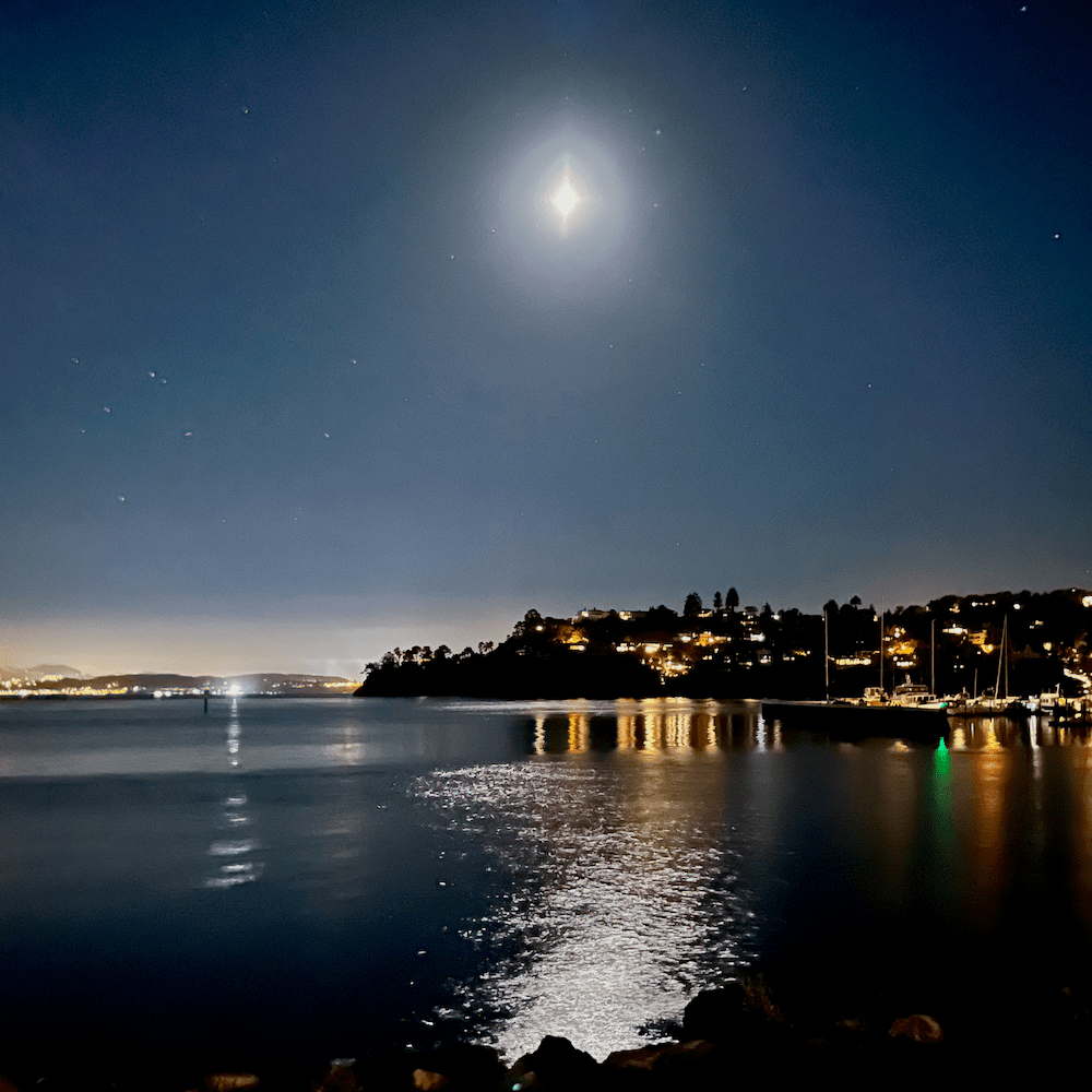 Photo of Waterfront in Tiburon, California. © Matthew Sholler