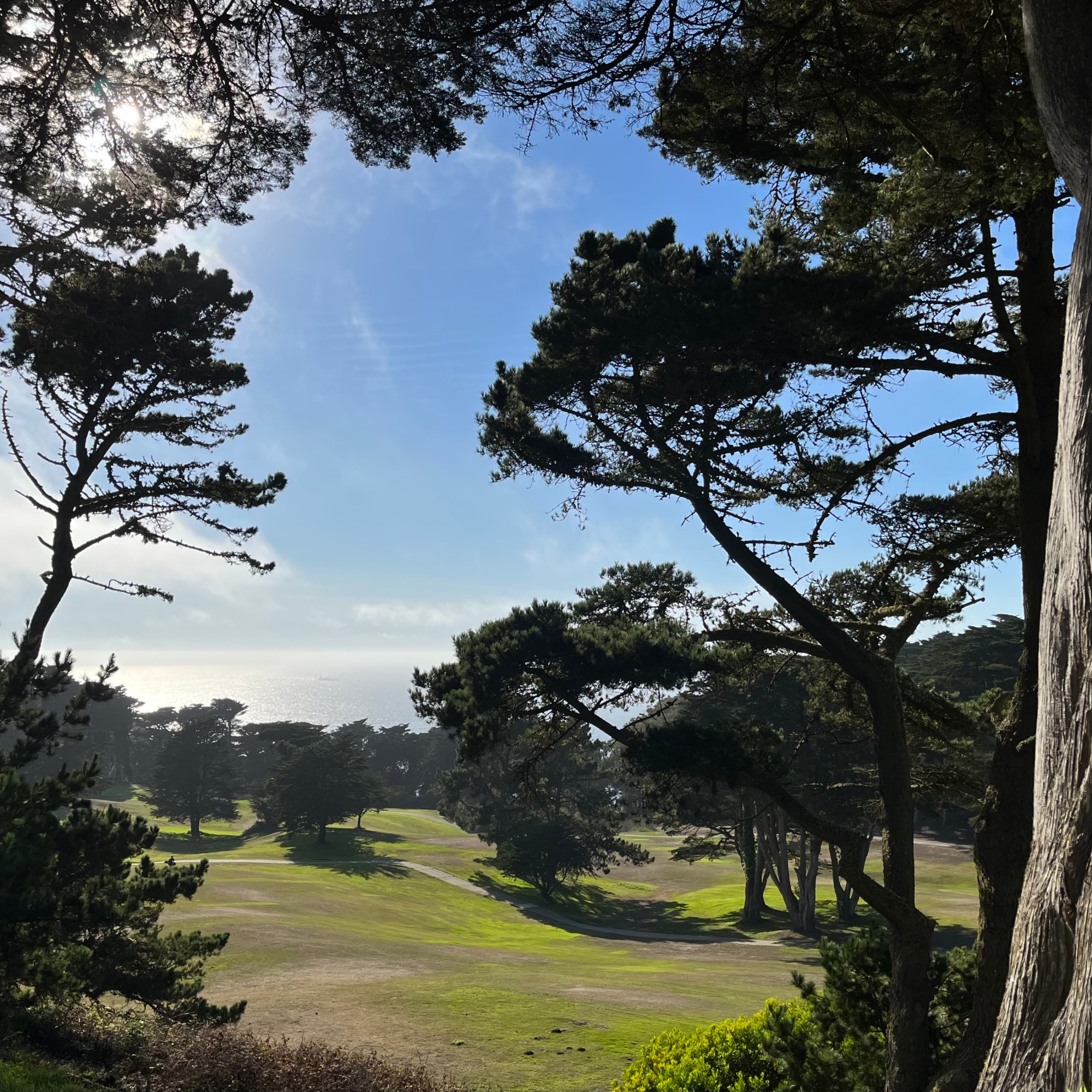 photo of the Presidio, San Francisco